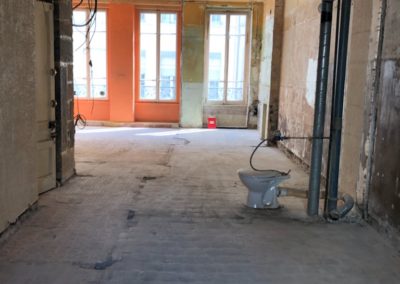 Rénovation complète d'un appartement quartier Brotteaux