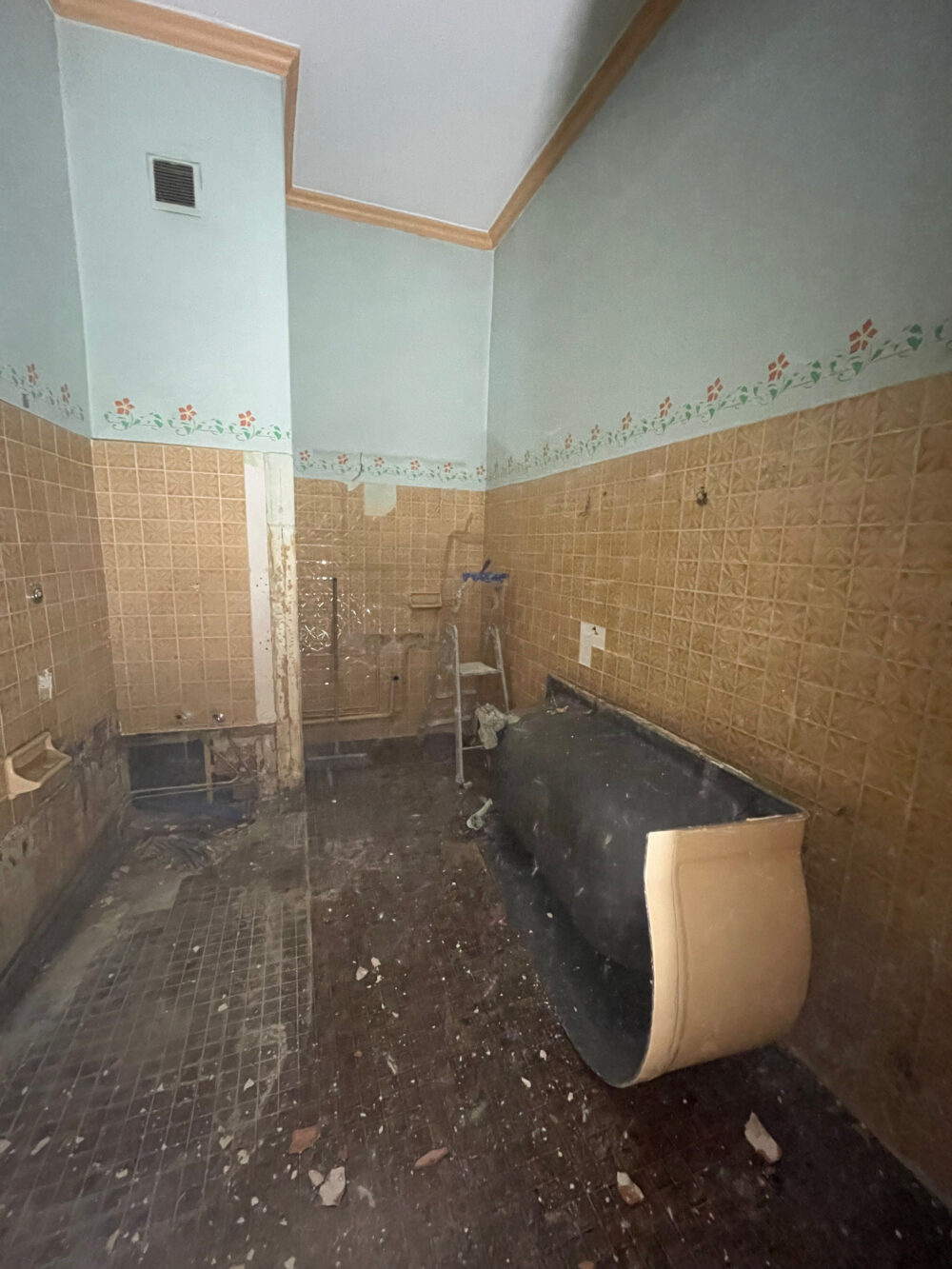 Dépose de la baignoire en Fonte Rénovation d'une salle de bain pour la rénovation complète d'un appartement à Lyon